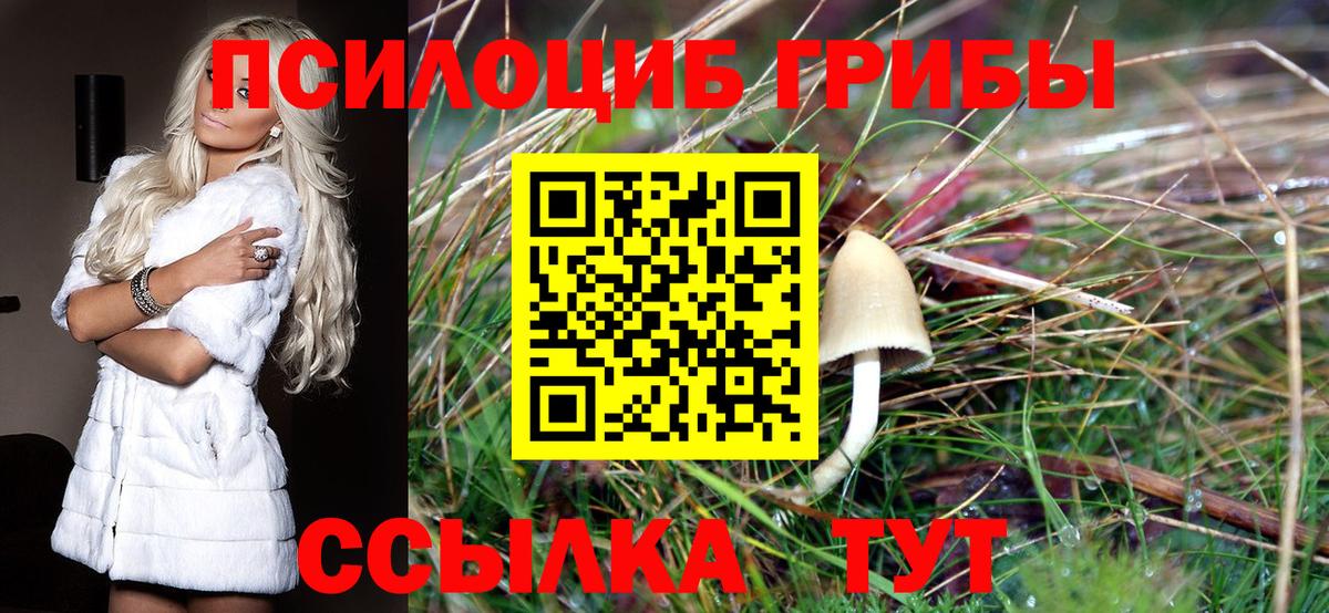 Галлюциногенные грибы Psilocybine cubensis Сертолово